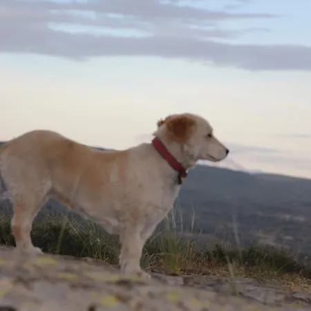 Hotel The Cappadocia Ürgüp