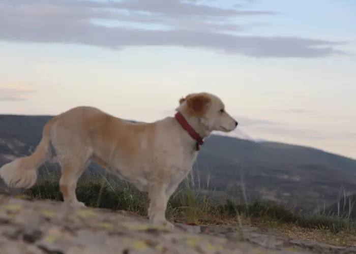 Hotel The Cappadocia Urgup